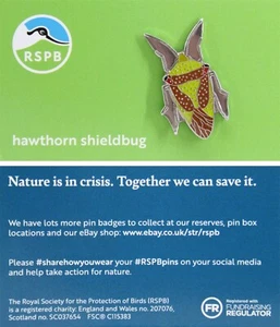 RSPB Pin Badge hawthorn shield bug NIIC P03070 - Picture 1 of 1