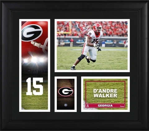 D' Andre Walker Georgia Bulldogs Framed 15" x 17" Player Collage Cover