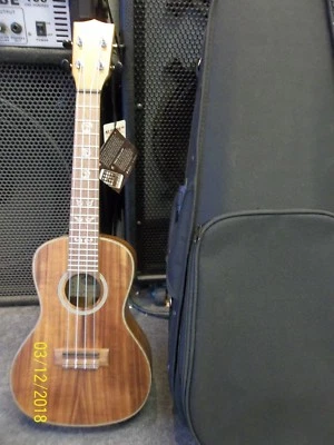 Kala KA-ASAC-CE Electro-acoustic Concert Ukulele uke styrohard case Free shippng - Image 1 of 4