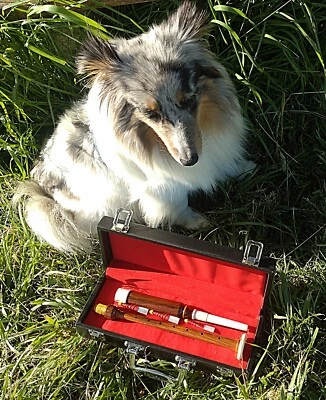 Practice Chanter, Übungsflöte für Dudelsack incl Koffer + 3 Reeds aus  Rosenholz - Bild 1 von 4