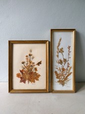 Herbier Cadre En Vente Ebay - 