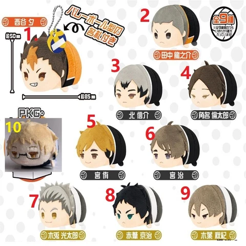 Haikyu Haikyuu Mochimochi Mascot Plush Doll Toy Keychain VOL3 Akaashi Bokuto New Cover