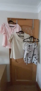 3 Ladies Tops Size Oxl Curve In Taupe,Pink And Pink Floral NWOT - Picture 1 of 17