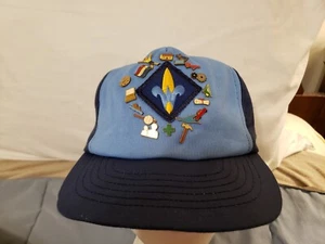 17 Vintage Boy Cub Scout BSA Enamel Lapel Hat Shirt Pins Plus The Hat - Picture 1 of 8
