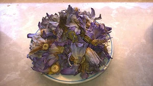 (299€/kg) 50 Gramm Nymphaea caerulea Blauer Lotus Blüten Ernte 02/25 - Bild 1 von 1
