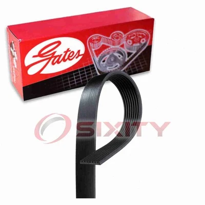 Cinturón serpentino Gates Micro-V para Ford Expedition 1997-2001 4,6 L 5,4 L V8 OK Foto 1 de 4