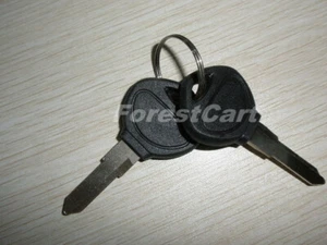 2 pcs Blank Keys for Tomberlin E-Merger Replacement Part No.: 1008076 - Picture 1 of 1