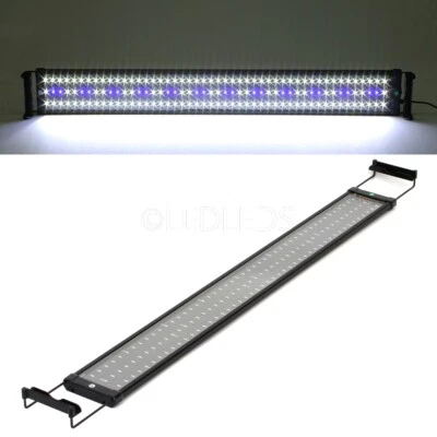 LAMPADA PLAFONIERA 30CM 33 LED 30-45CM ACQUARIO LUCE BIANCA BLU PESCI PIANTE - Immagine 1 di 4