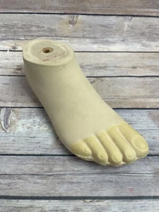 Kingsley Molded Low Profile SACH Prosthetic Foot R7-24cm Medium - Picture 1 of 11
