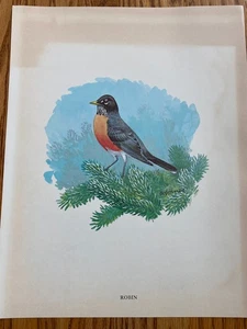 Wildlife Portrait Serie Nr. 3 Singvögel 10 Drucke von Bob Hines 11" x 14" - Bild 1 von 11