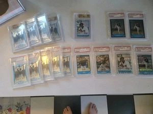 16 Graded Cards - PSA And Becket- Maybin, Price, Saunders, Morrow & Halman - Picture 1 of 6