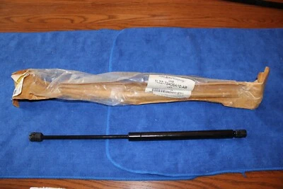 Ford Explorer Mercury Mountaineer 2002 hatchback cilindro elevador 1L2Z 78406A10 nuevo de lote Foto 1 de 3