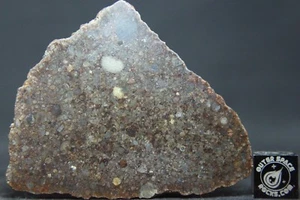 NWA 11056 LL3 Primitive Chondrite Meteorite 8.8 gram complete slice - Picture 1 of 4