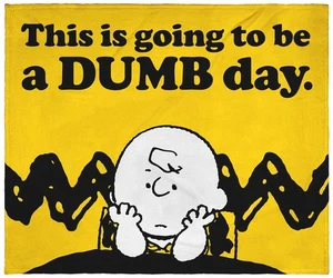 Peanuts Charlie Brown This Is Going To Be A Dumb Day Überwurf Decke Wandrolle - Bild 1 von 3