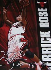 Nba Basketball Mini Wall Poster Chicago Bulls Derrick Rose Dunking Lot of 2