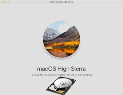 Disco duro SSD de 120 GB 2,5 precargado con disco Osx preinstalado High Sierra 10,13 Foto 1 de 4