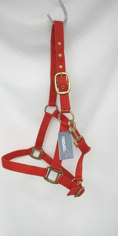 Catago Halfter Nylonhalfter Rot+Gold Beschläge 2fach verst. Fohlen = Mini Shetty - Bild 1 von 4