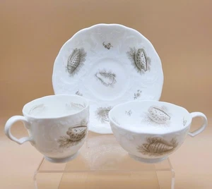 Tasses à café et soucoupe thé imprimé chauve-souris Spode anciennes moulées début XIXème - Photo 1/22