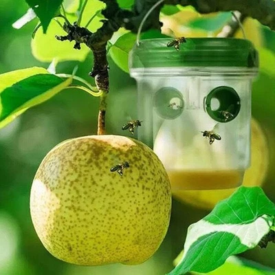 Pièges à Guêpes Suspendus Solaires Attrape-Insectes Réutilisables pour Contr - Photo 1/4