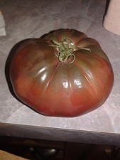 New listing
Black Krim Tomato *Heirloom* (50 Seed's) " Free Shipping" Non-Gmo Organic
