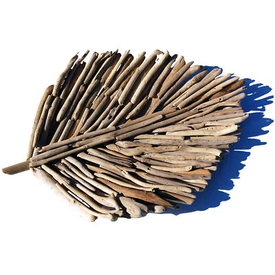 SEESTERN Treibholz Deko Blatt Schale (60 cm) Motiv Wanddeko Driftwood Holzdeko49 - Bild 1 von 4