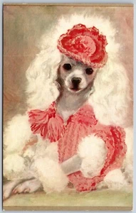 Vintage Kunstportrait Spielzeugpudel Hund mit Namen Platten Pique E.N. Trelford Postkarte - Bild 1 von 2