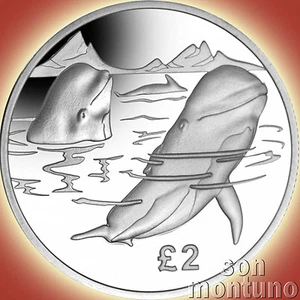 2017 PILOT WHALE - Sterling SILVER Proof Coin - South Georgia & Sandwich Islands - Picture 1 of 2