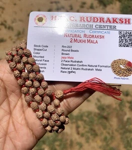 LAB CERTIFIED 2 Do Mukhi RUDRAKSHA Rudraksh Mala ROSARY 108+1 Bead Prayer Beads - Picture 1 of 7