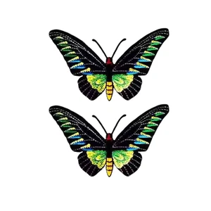 Parche de hierro Rajah Brooke's Birdwing Butterfly (paquete de 2) - Imagen 1 de 4