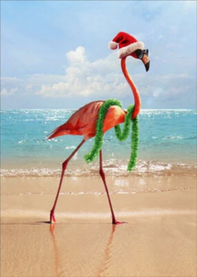 AVANTI PRESS Flamingo Wearing Santa Hat and Sunglasses Box of 10 Funny Christmas Cards