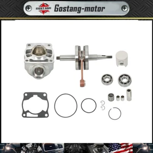 Fit For Yamaha YZ80 1993-2001 Engine Cylinder Piston Crankshaft Rebuild Kit New - Foto 1 di 20