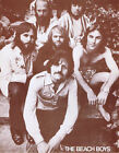 Affiche imprimée The Beach Boys - photo de groupe de fin d'ère - barbes - 11"x14" sépia