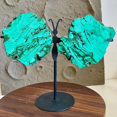 Malachit Schmetterlingsflügel - Paar polierte Steinscheibe Dekor 3,59 Pfund - Bild 1 von 4