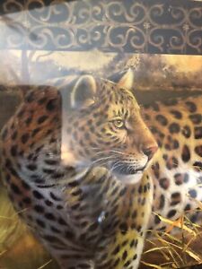 Intérieur par design 8 pouces x 10 pouces cadre décoré animaux de safari léopard