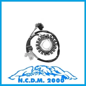 STATORE MAGNETE VOLANO PGO G Max 250 0000-0000 - Imagen 1 de 1