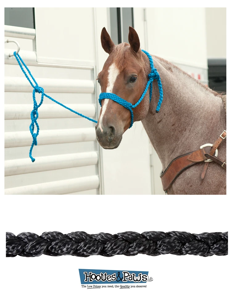 Soporte de cuerda de caballo clásico equino fuerte de alta resistencia con plomo de 8' negro Foto 1 de 1