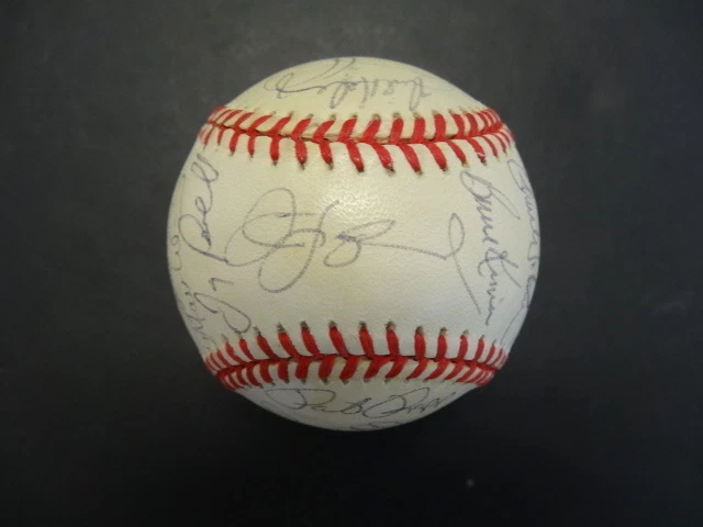 (29) 1997 Florida Marlins Team-Signed Baseball Autograph Auto PSA/DNA AA06302 - Image 1 of 1