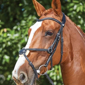 Collegiate ComfiTec Grackle Bridle - Picture 1 of 8