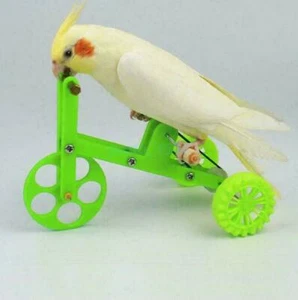 Parrot Pet Bird Bike Training best Educational Props Funny Bike Toy Bird New - Picture 1 of 12