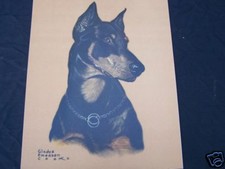 Dog Print by " Gladys Emerson Cook" Doberman Pinscher