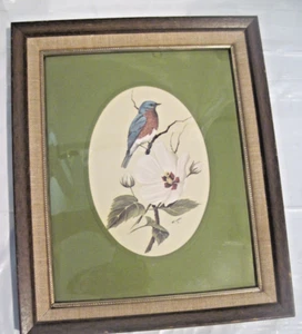 Art Lamay Eastern Blue Bird Print, Framed - Picture 1 of 7