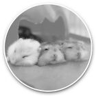2 X Vinyl Stickers 15Cm (Bw) - Cute Trio Of Gerbils Rodent  #35614