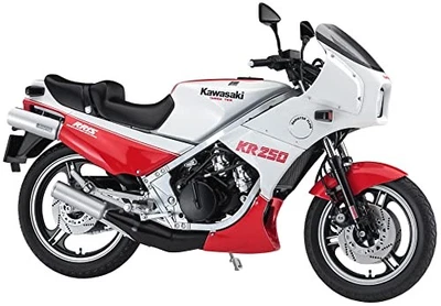 Hasegawa 1/12 Kawasaki KR250 (KR250A) Blanco/Rojo Color plástico modelo 21745 - Imagen 1 de 4