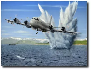 "Madman II" von Don Feight - Lockheed P-3 Orion - Luftfahrt Kunstdruck - Bild 1 von 1