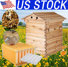 7 PCS Free Flowing Honey Hive Beehive Frames+ Beekeeping Brood Cedarwood Box Set