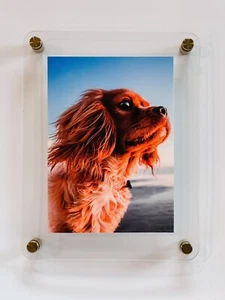 2  Bulk Modern Floating Acrylic Frame Round Corners, Choose hardware color. - Picture 1 of 5