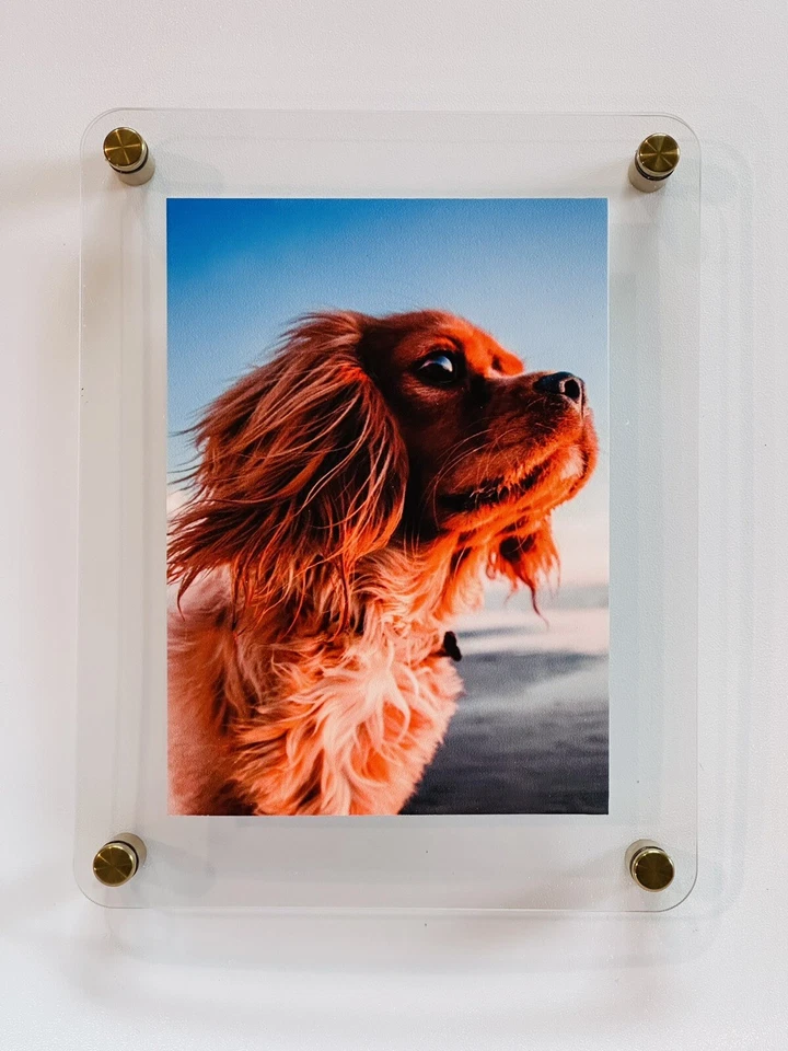 2  Bulk Modern Floating Acrylic Frame Round Corners, Choose hardware color. - Image 1 of 4