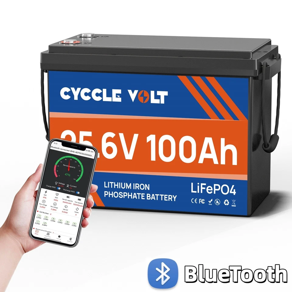 CYCCLEVOLT LiFePO4 24V 100Ah Lithium Batterie 100A BMS für Solarenergie Wohnmobile Off-Grid