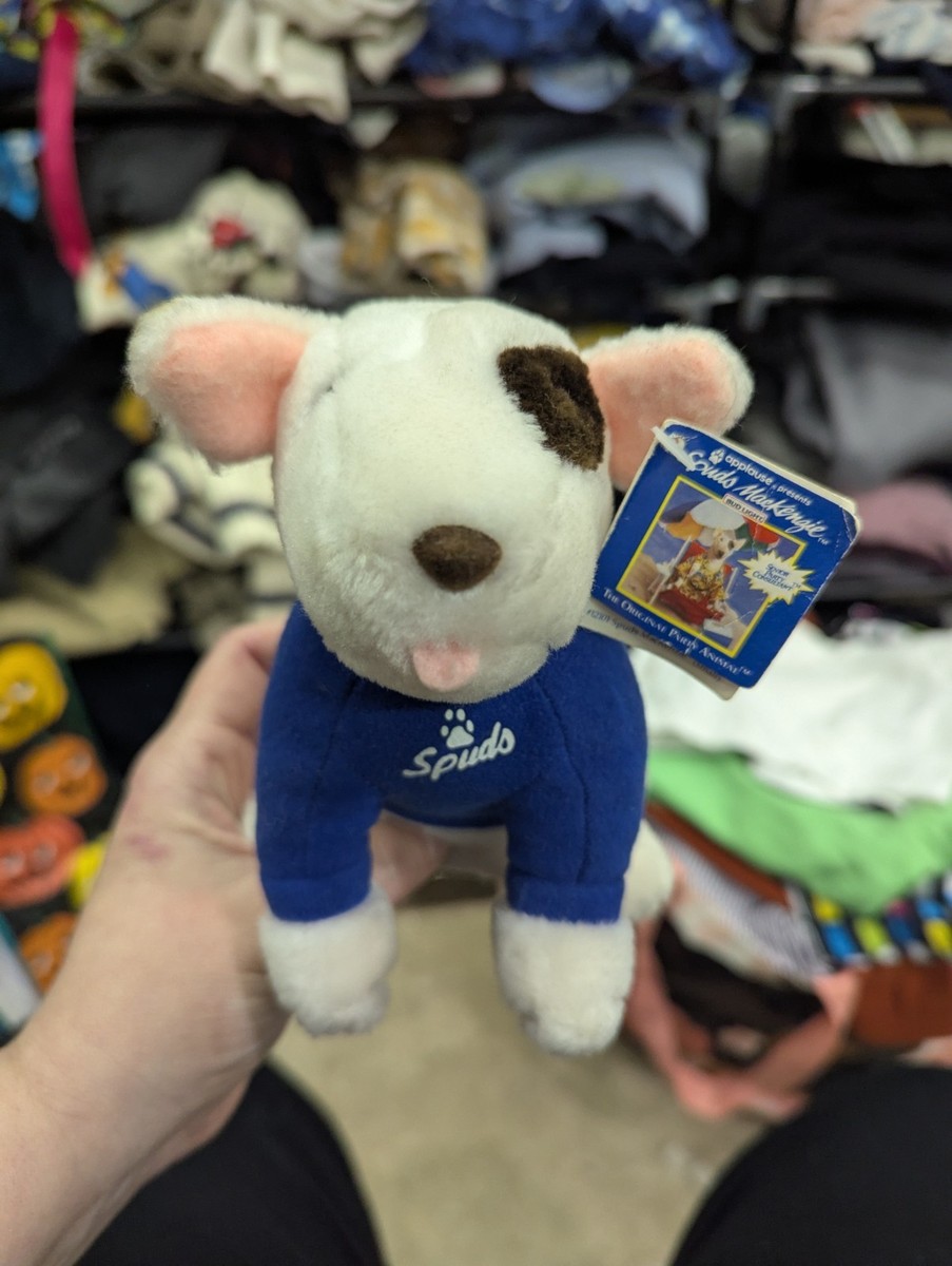 Spuds Mackenzie In other Breweriana & Beer Collectibles for Spuds Mackenzie In other Breweriana & Beer Collectibles for