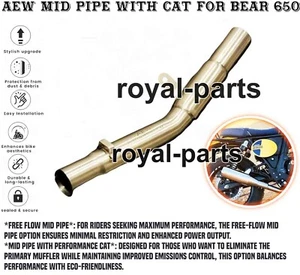 "AEW MID PIPE WITH CAT" SILVER FIT FOR ROYAL ENFIELD BEAR 650 - Picture 1 of 17